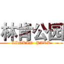 林肯公园 (LINKIN  PARK)