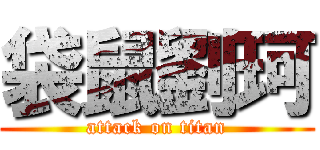 袋鼠劉珂 (attack on titan)