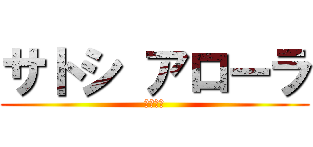 サトシ アローラ (作画崩壊)