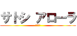 サトシ アローラ (作画崩壊)