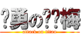 杨勇の邓红梅 (attack on titan)