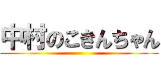 中村のこきんちゃん ()