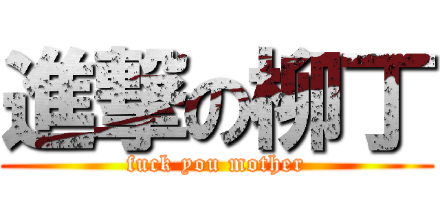 進撃の柳丁 (fuck you mother)