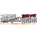 進撃の熊孫 (attack on titan)