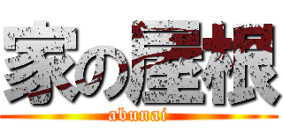 家の屋根 (abunai)