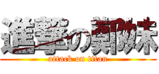 進撃の鄭妹 (attack on titan)