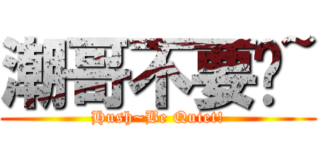 潮哥不要啦~ (Hush~Be Quiet!)