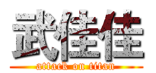 武佳佳 (attack on titan)