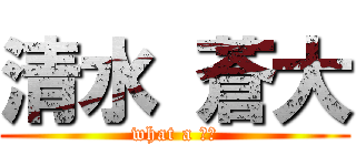 清水 蒼大 (what a 〇〇)