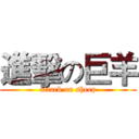 進擊の巨羊 (attack on sheep)