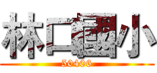 林口國小 (50406)