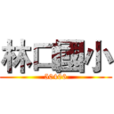 林口國小 (50406)
