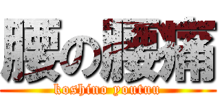 腰の腰痛 (koshino youtuu)