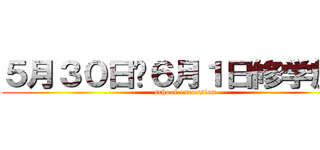 ５月３０日〜６月１日修学旅行 (school excursion)