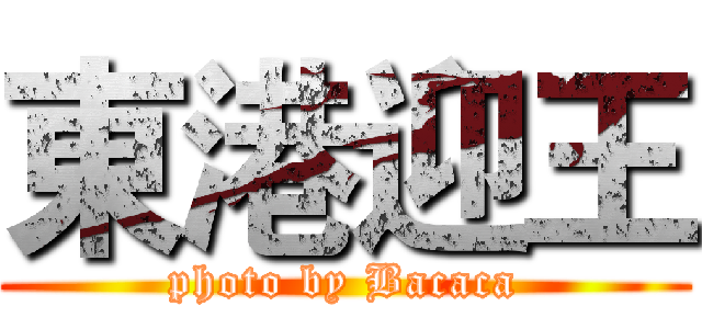 東港迎王 (photo by Bacaca)