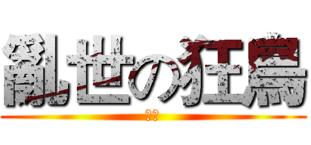 亂世の狂鳥 (測試)