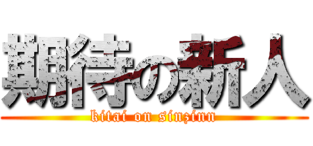 期待の新人 (kitai on sinzinn)