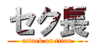 セク長 (attack on titan)