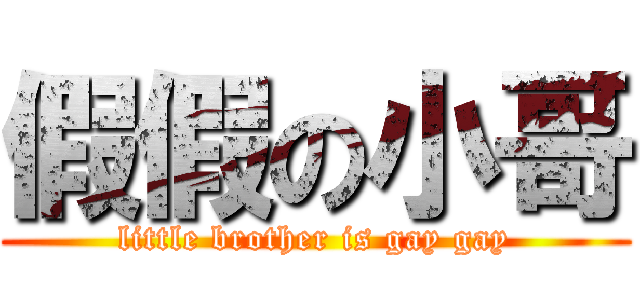 假假の小哥 (little brother is gay gay)