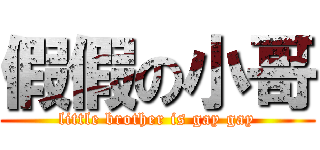 假假の小哥 (little brother is gay gay)