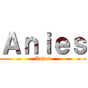 Ａｎｉｅｓ (Anies)