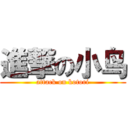 進撃の小鸟 (attack on kotori)