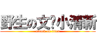 野生の文艺小清新 (attack on titan)