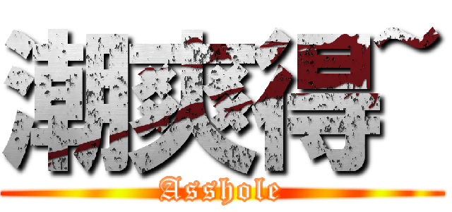 潮爽得~ (Asshole)