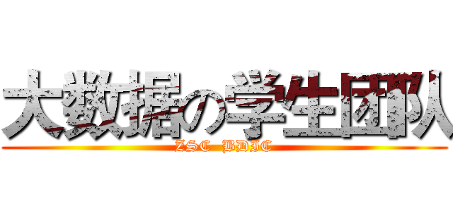 大数据の学生团队 (ZSC  BDIC)