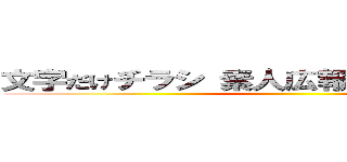 文字だけチラシ 素人広報 税金の無駄遣い ()