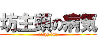 坊主頭の病気 (crazy boy)