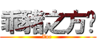 乖豬之方婷 (Zoe )