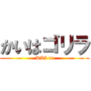 かいはゴリラ (KAI is)