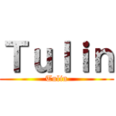 Ｔｕｌｉｎ (Tulin)