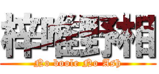 梓唯野相 (No boole No Ash)