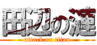 田辺の漣 (attack on titan)