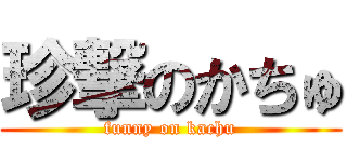 珍撃のかちゅ (funny on kachu)
