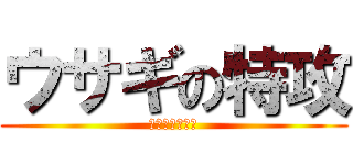 ウサギの特攻 (めっちゃ痛い！)