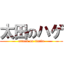 太田のハゲ (attack on tintin)