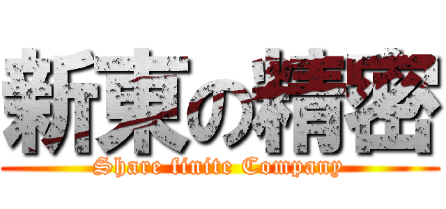 新東の精密 (Share finite Company)