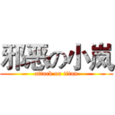 邪恶の小岚 (attack on titan)