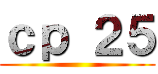 ｃｐ ２５ ()