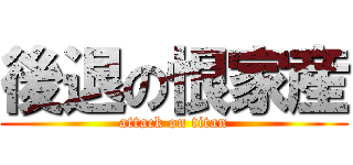 後退の恨家産 (attack on titan)