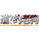 進擊的老狗 (attack on old dog)