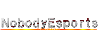 ＮｏｂｏｄｙＥｓｐｏｒｔｓ (Nobody on Esports)