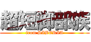 超短脚部族 (from SIBERIA)