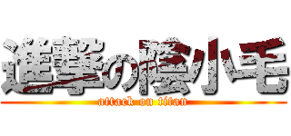 進撃の陰小毛 (attack on titan)