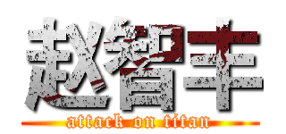 赵智丰 (attack on titan)