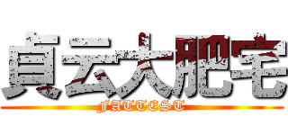 貞云大肥宅 (FATTEST)