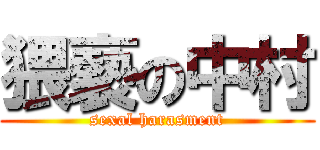 猥褻の中村 (sexal harasment)